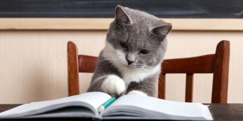 Test 2 (semanas 3-4)