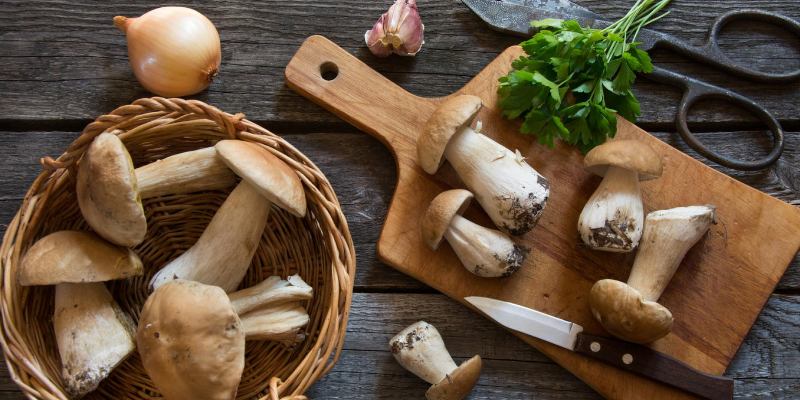 Грибная кулинария: проверьте свои знания 🍄