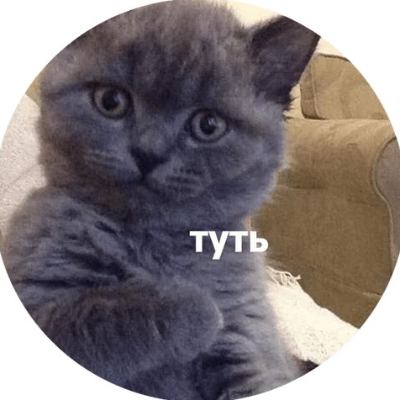 Маша Денисова 🤍