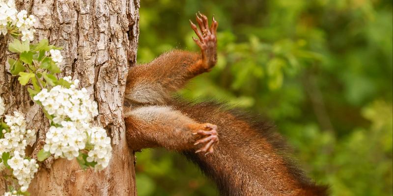 Царство животных: как хорошо вы знаете зоологию?