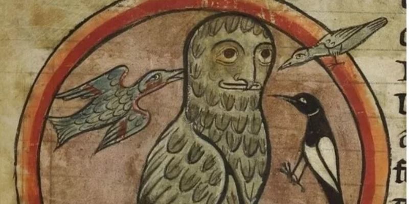 Звериные загадки: от знакомых животных до… эээ… этого