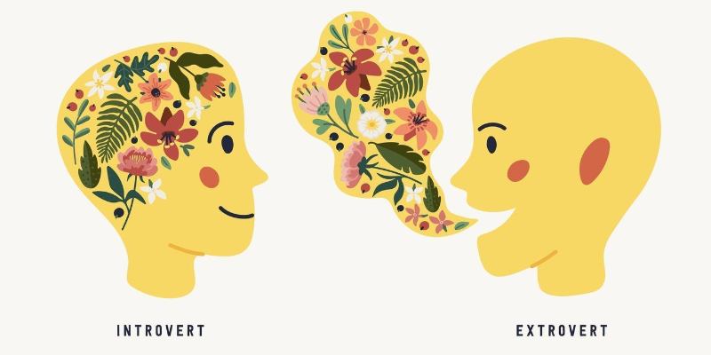 Интроверт или экстраверт: кто вы на самом деле?
