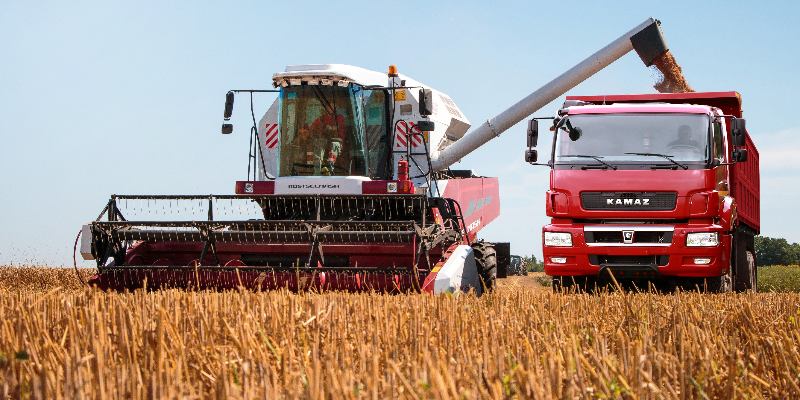 Агротехнический экзамен: тест для настоящих знатоков полей