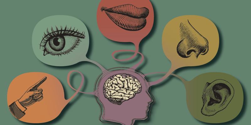 Как вы познаёте мир: тест на ведущий тип восприятия