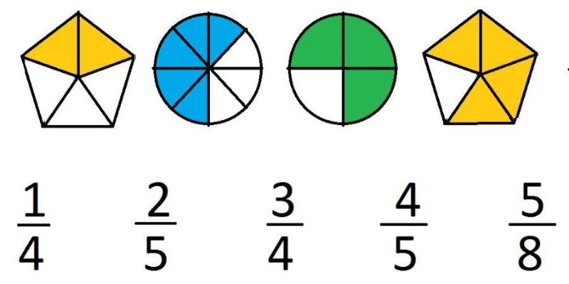 Дроби. Часть и целое