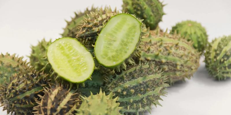 Мемный словарь: проверьте, насколько вы в теме!