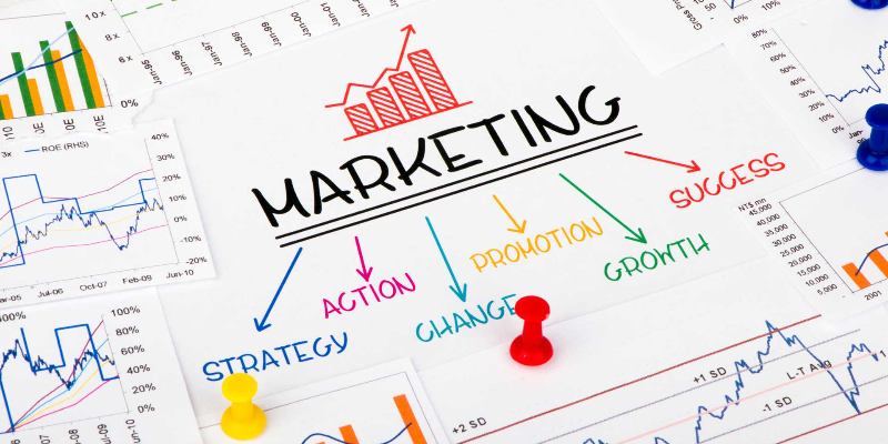 Профессия маркетолог: тест на знание трендов и стратегий