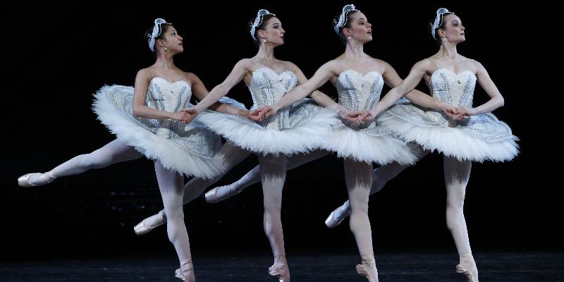 Пуанты и пачки: что вы знаете о балете? 🩰
